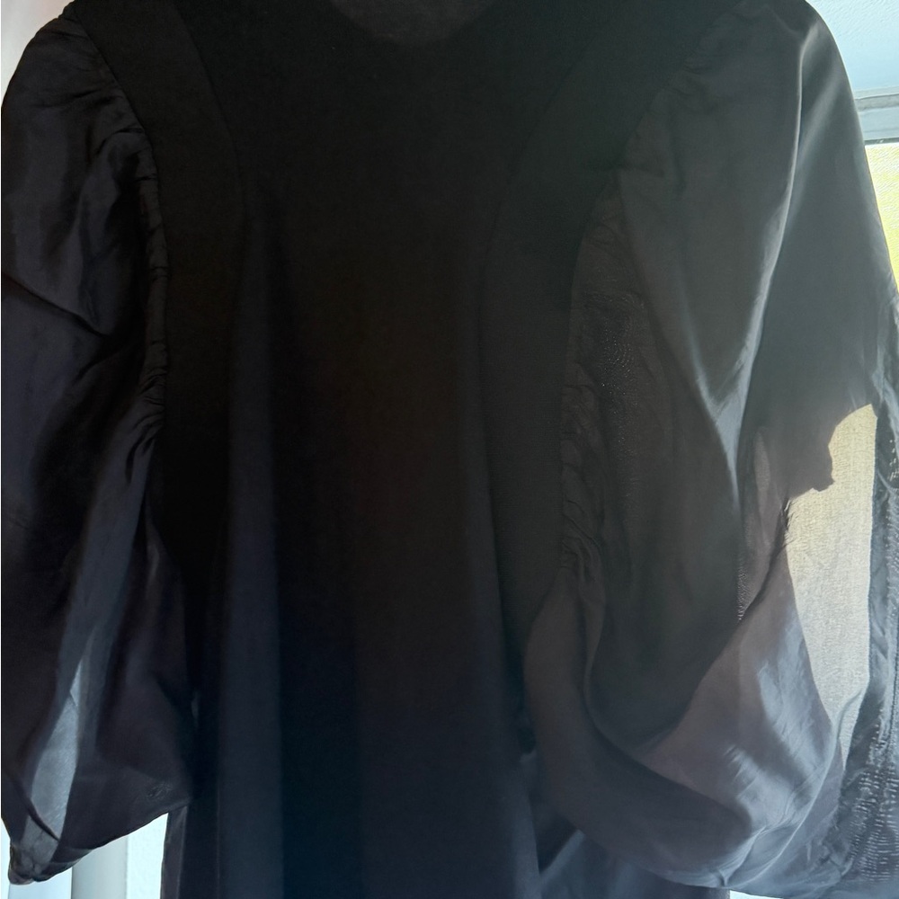 Chic Black Sheer Women's Blouse